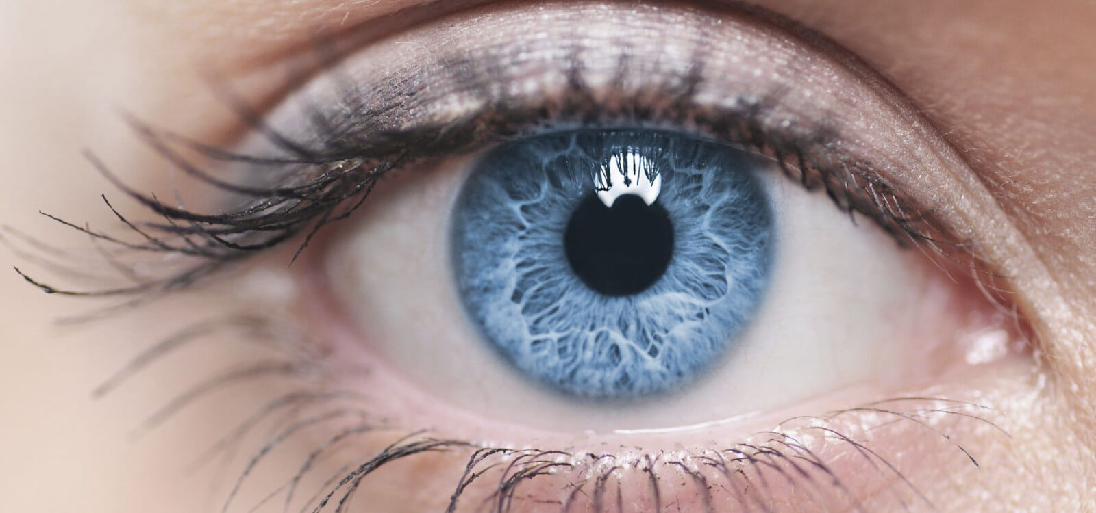 L'Œil et la Vision - Amavue Opticiens